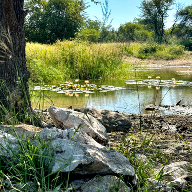 Conservation & Community
